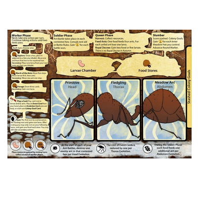 March of the Ants - EN – Bild 3