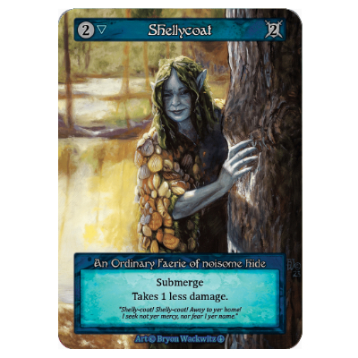 Shellycoat *foil*